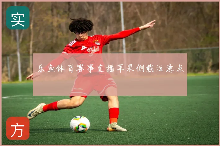 乐鱼体育赛事直播苹果侧载注意点