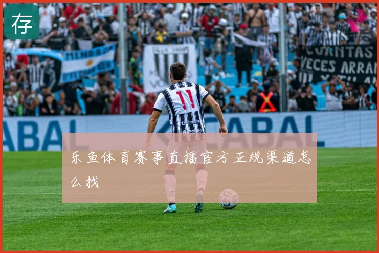 乐鱼体育赛事直播官方正规渠道怎么找